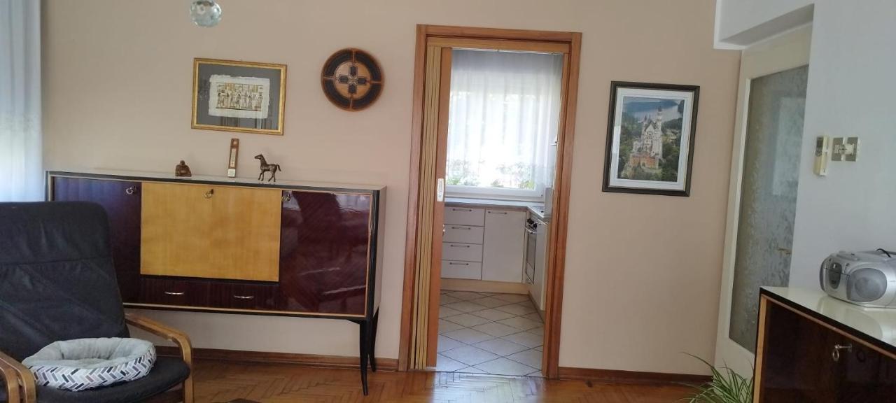 7 Flower Street Apartment Sempeter pri Gorici エクステリア 写真