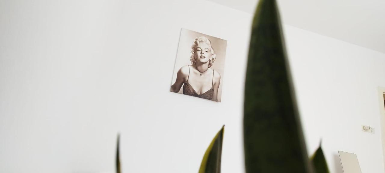 7 Flower Street Apartment Sempeter pri Gorici エクステリア 写真