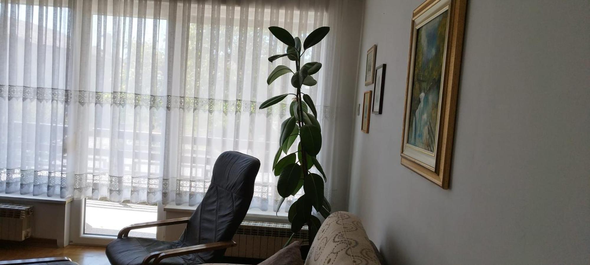 7 Flower Street Apartment Sempeter pri Gorici エクステリア 写真